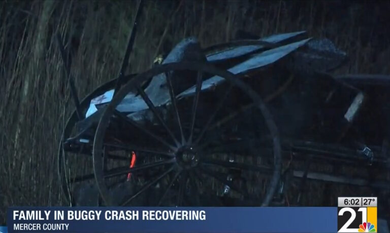 Amish Family Of 9 All Survive Head-On Buggy Crash, Now Recovering At Home