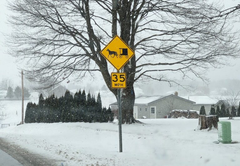 A Southern Yankee Meets Amish Winter and Lives to Tell the Tale (17 Photos)