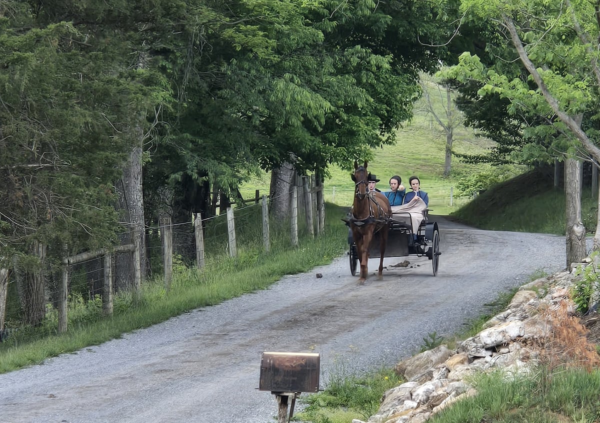 Amish buggy family on gravel lane Pearisburg Virginia