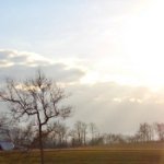 10 views of northern Indiana Amish