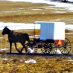 Amish Buggy Decals